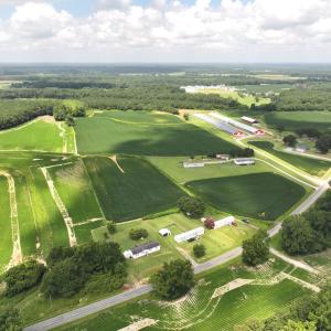 Photo #23 of Off Old Mill Road, stantonsburg, NC 51.5 acres