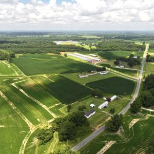 Photo #24 of Off Old Mill Road, stantonsburg, NC 51.5 acres