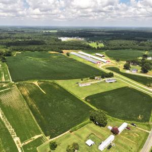 Photo #26 of Off Old Mill Road, stantonsburg, NC 51.5 acres