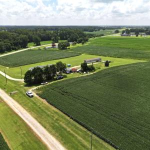 Photo #27 of Off Old Mill Road, stantonsburg, NC 51.5 acres