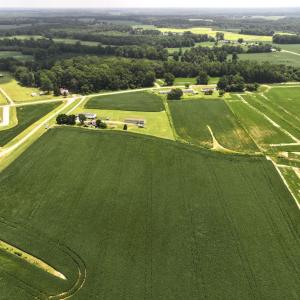 Photo #28 of Off Old Mill Road, stantonsburg, NC 51.5 acres