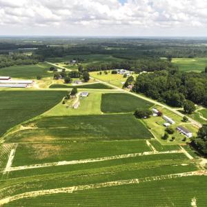 Photo #3 of Off Old Mill Road, stantonsburg, NC 51.5 acres