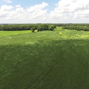 Photo #30 of Off Old Mill Road, stantonsburg, NC 51.5 acres