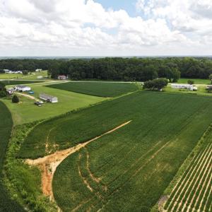 Photo #33 of Off Old Mill Road, stantonsburg, NC 51.5 acres
