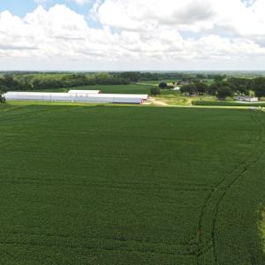 Photo #34 of Off Old Mill Road, stantonsburg, NC 51.5 acres