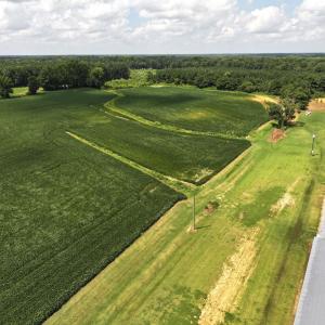 Photo #36 of Off Old Mill Road, stantonsburg, NC 51.5 acres