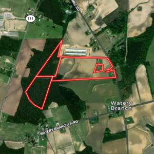 Photo #40 of Off Old Mill Road, stantonsburg, NC 51.5 acres