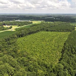 Photo #5 of Off Old Mill Road, stantonsburg, NC 51.5 acres