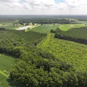 Photo #9 of Off Old Mill Road, stantonsburg, NC 51.5 acres