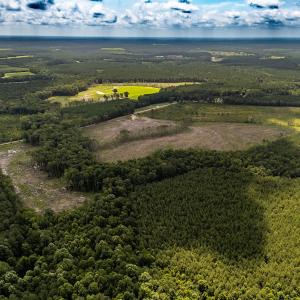 Photo #12 of Off Courthouse Road, Waverly, VA 50.0 acres