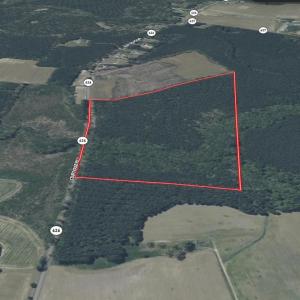 Photo #14 of Off Courthouse Road, Waverly, VA 50.0 acres