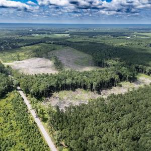 Photo #15 of Off Courthouse Road, Waverly, VA 50.0 acres