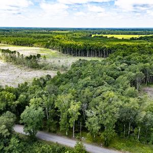 Photo #16 of Off Courthouse Road, Waverly, VA 50.0 acres