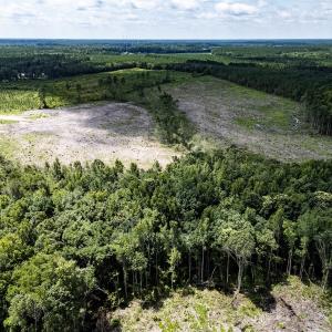 Photo #17 of Off Courthouse Road, Waverly, VA 50.0 acres