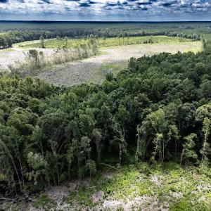 Photo #18 of Off Courthouse Road, Waverly, VA 50.0 acres