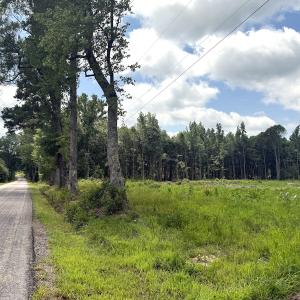 Photo #20 of Off Courthouse Road, Waverly, VA 50.0 acres