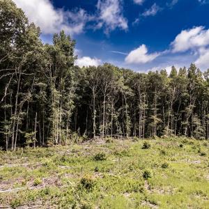 Photo #21 of Off Courthouse Road, Waverly, VA 50.0 acres