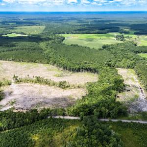 Photo #1 of Off Courthouse Road, Waverly, VA 50.0 acres