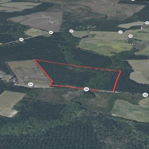 Photo #2 of Off Courthouse Road, Waverly, VA 50.0 acres