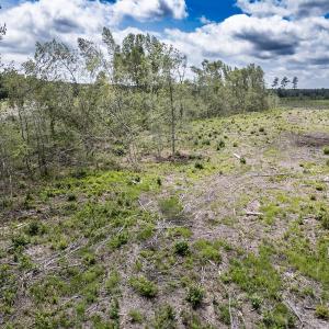 Photo #23 of Off Courthouse Road, Waverly, VA 50.0 acres