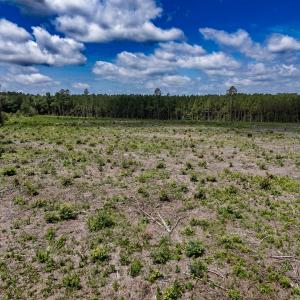 Photo #25 of Off Courthouse Road, Waverly, VA 50.0 acres