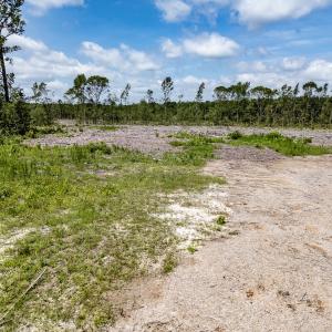 Photo #27 of Off Courthouse Road, Waverly, VA 50.0 acres