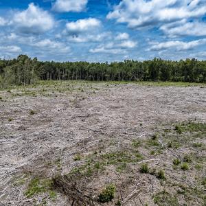 Photo #29 of Off Courthouse Road, Waverly, VA 50.0 acres