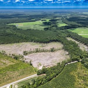 Photo #3 of Off Courthouse Road, Waverly, VA 50.0 acres