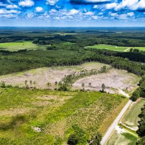 Photo #4 of Off Courthouse Road, Waverly, VA 50.0 acres
