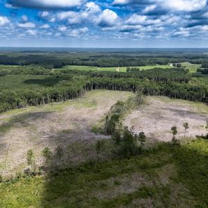 Photo #5 of Off Courthouse Road, Waverly, VA 50.0 acres