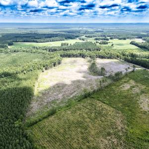 Photo #7 of Off Courthouse Road, Waverly, VA 50.0 acres
