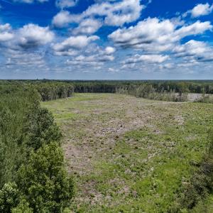 Photo #8 of Off Courthouse Road, Waverly, VA 50.0 acres