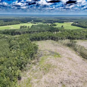 Photo #9 of Off Courthouse Road, Waverly, VA 50.0 acres
