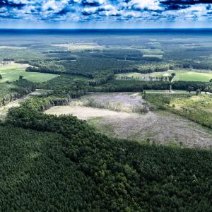 Photo #10 of Off Courthouse Road, Waverly, VA 50.0 acres
