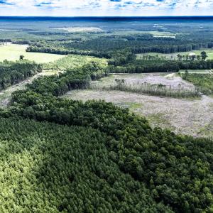 Photo #11 of Off Courthouse Road, Waverly, VA 50.0 acres