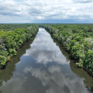 Photo #6 of Off Occoneechee Neck North Road, Jackson, NC 7.9 acres