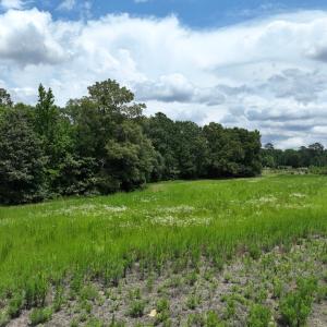 Photo #7 of Off Occoneechee Neck North Road, Jackson, NC 7.9 acres