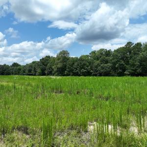 Photo #8 of Off Occoneechee Neck North Road, Jackson, NC 7.9 acres