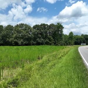 Photo #9 of Off Occoneechee Neck North Road, Jackson, NC 7.9 acres