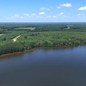 Photo #2 of Off  Johnson Farm Road, Kenly, NC 130.1 acres