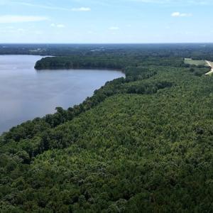 Photo #3 of Off  Johnson Farm Road, Kenly, NC 130.1 acres