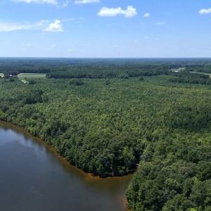 Photo #4 of Off  Johnson Farm Road, Kenly, NC 130.1 acres