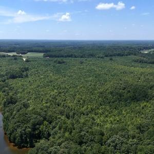 Photo #6 of Off  Johnson Farm Road, Kenly, NC 130.1 acres