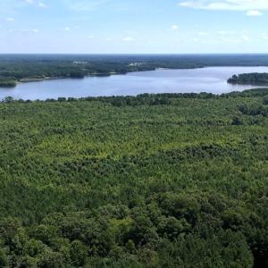 Photo #7 of Off  Johnson Farm Road, Kenly, NC 130.1 acres