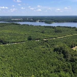 Photo #10 of Off  Johnson Farm Road, Kenly, NC 130.1 acres