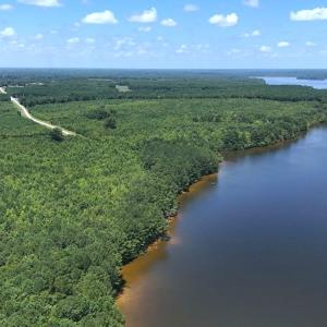 Photo #13 of Off  Johnson Farm Road, Kenly, NC 130.1 acres
