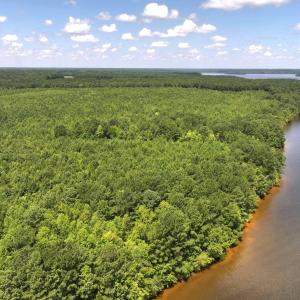 Photo #14 of Off  Johnson Farm Road, Kenly, NC 130.1 acres
