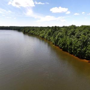 Photo #15 of Off  Johnson Farm Road, Kenly, NC 130.1 acres