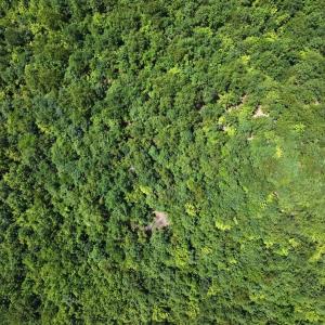 Photo #16 of Off  Johnson Farm Road, Kenly, NC 130.1 acres