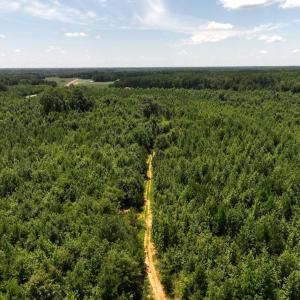 Photo #17 of Off  Johnson Farm Road, Kenly, NC 130.1 acres
